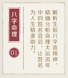 岳阳起名流程一